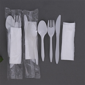 4pc kit(fork+knife+teaspoon+napkin kit)